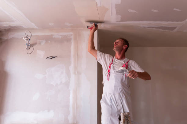 Reliable Piedmont, MO Painting & Drywall Services Solutions